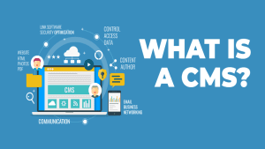 Read more about the article What Is CMS (Content Management System)?