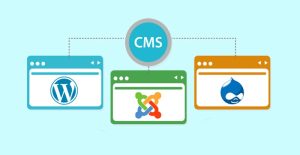 Read more about the article Most Popular CMS Platforms In 2024